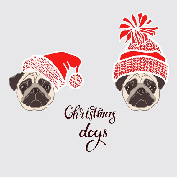 Noel Baba'nın şapkalı dogâ €™ s yüz. 