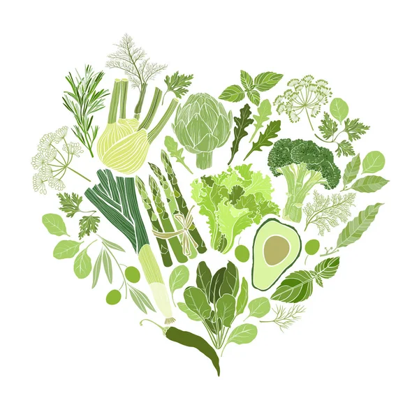 Épices et herbes culinaires — Image vectorielle
