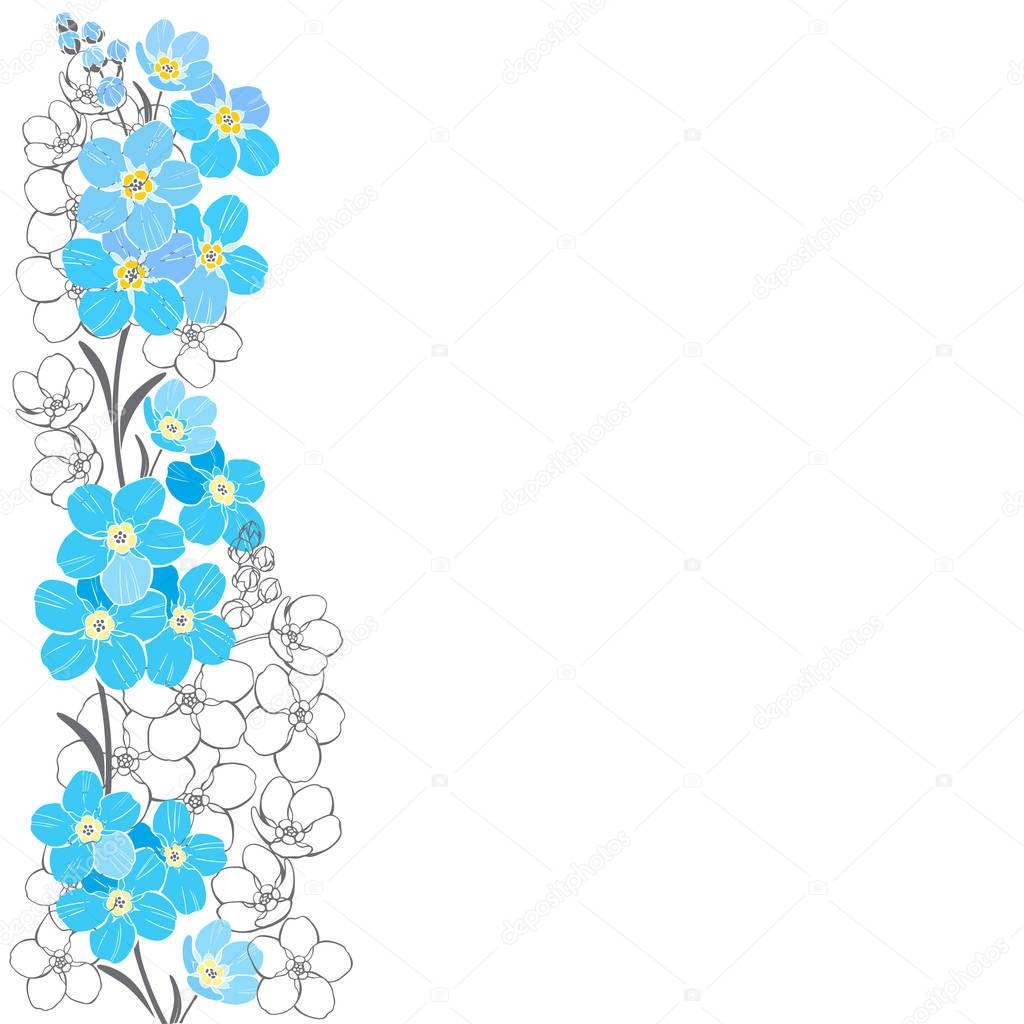 Floral background with forget-me-nots. Vector illustration with flowers on white background