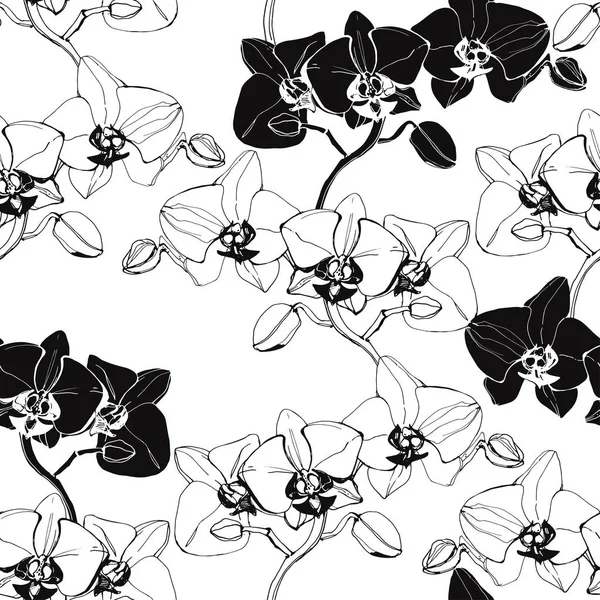 Květinový Vzor Bezešvé Orchidejemi Černá Bílá Vektorové Ilustrace — Stockový vektor
