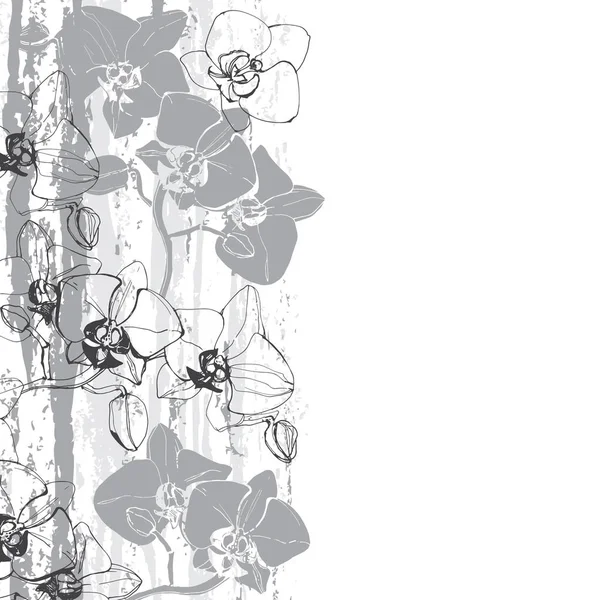 Květinové Pozadí Orchidejemi Místo Pro Text Černobílý Tisk — Stockový vektor