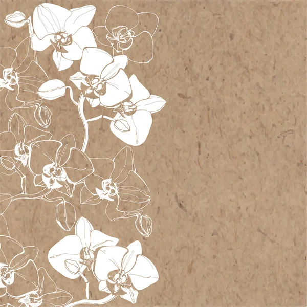 Florale Achtergrond Met Orchideeën Plaats Voor Tekst Vectorillustratie — Stockvector