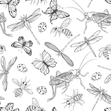 Arka plan ile ladybugs, arılar, kelebekler, Yusufçuk böcekleri sorunsuz vektör
