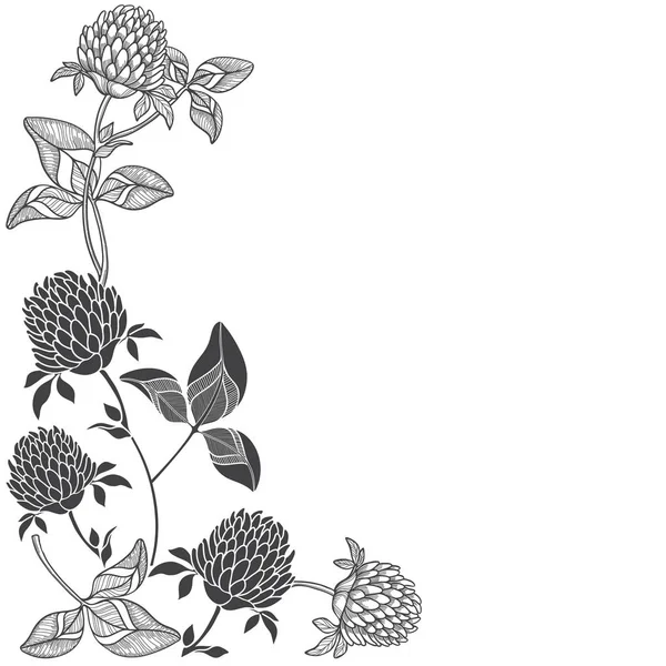 Fond Floral Avec Trèfle Endroit Pour Texte — Image vectorielle