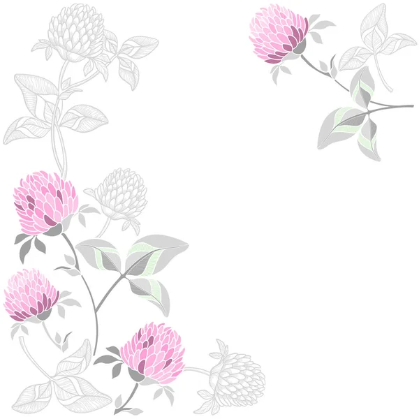 Fondo Floral Con Trébol Aislado Sobre Blanco — Archivo Imágenes Vectoriales