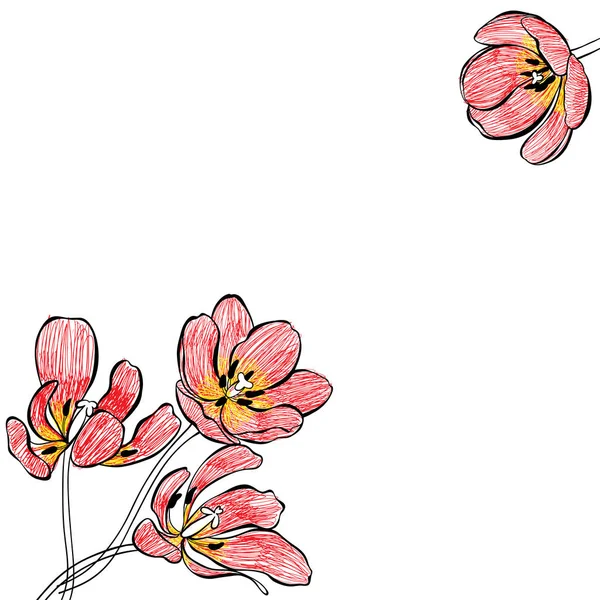 Fond Floral Avec Tulipes Place Pour Texte Illustration Vectorielle — Image vectorielle