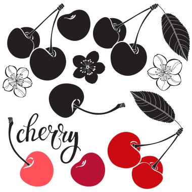 Beyaz arka plan üzerinde izole kiraz kümesi