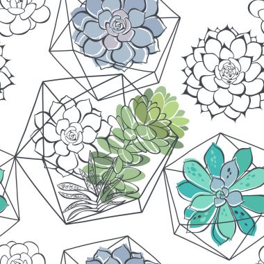 Succulents ve beyaz zemin üzerine florariums ile Seamless Modeli