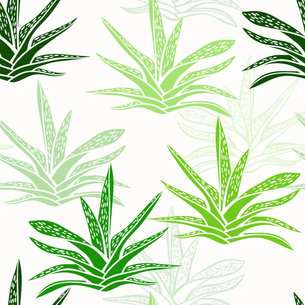 Modèle Sans Couture Avec Des Succulents Colorés Sur Fond Blanc — Image vectorielle