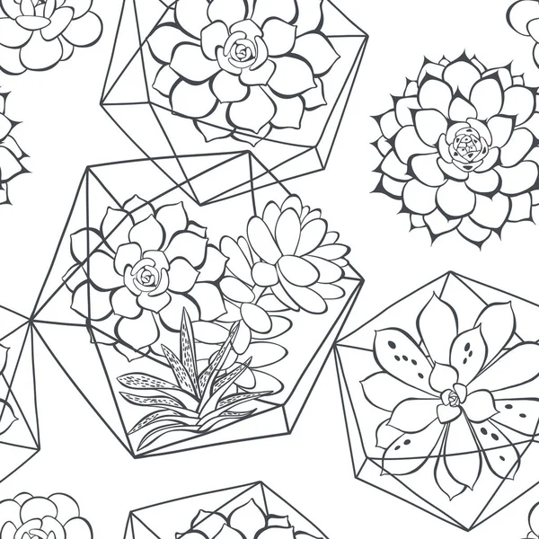 Vzor Bezešvé Sukulenty Florariums Bílém Pozadí — Stockový vektor