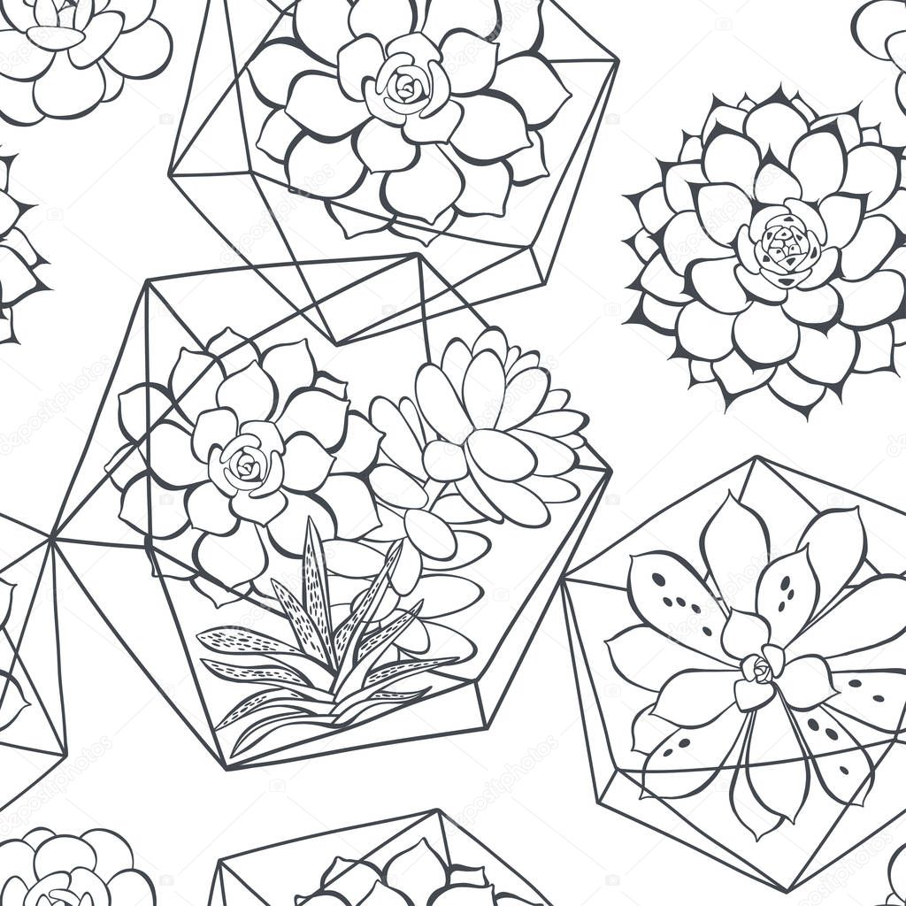 Seamless pattern with succulents and florariums on white background
