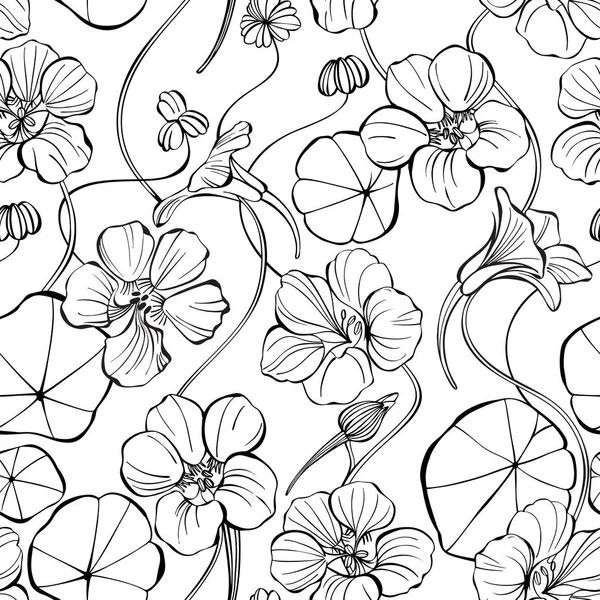 Modèle sans couture avec du nasturtium. Illustration vectorielle monochrome. Schéma dessin sur fond blanc . — Image vectorielle