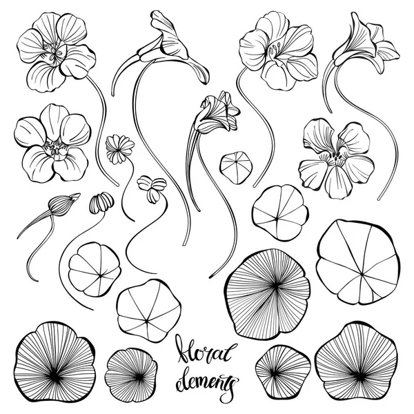 Nastúrcio. Desenho ilustração do vetor esboço desenhado à mão, elementos florais isolados para design em fundo branco . —  Vetores de Stock