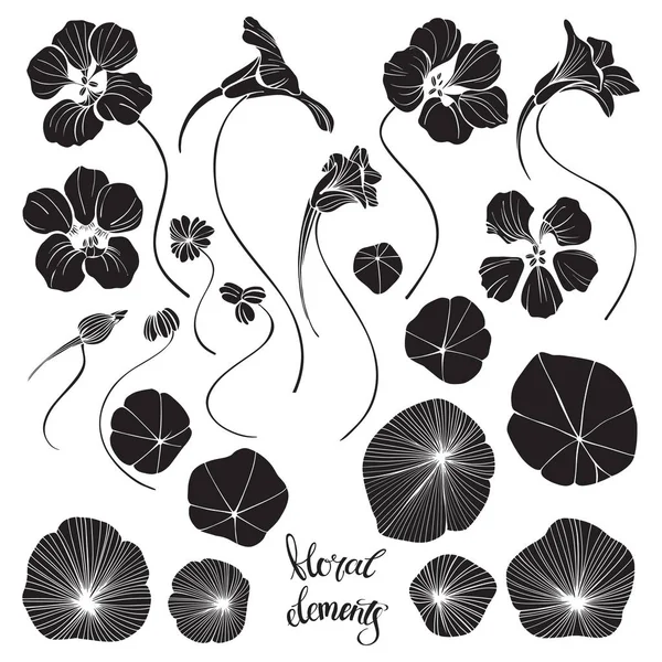Nasturtium. silhouettes. 손으로 그린 벡터 일러스트, 흰색 배경 위에 디자인을 위한 꽃의 요소들을 분리. — 스톡 벡터
