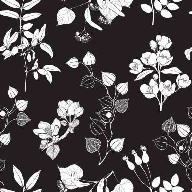 Siyah bir arka planda kusursuz çiçek deseni. Tek renkli doğa geçmişi var. Vektör.