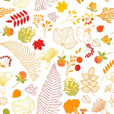 Beyaz arka planda orman bitkileriyle, böğürtlenlerle ve mantarlarla kusursuz vektör deseni. Doğa arkaplanı.