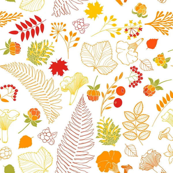 Seamless vector pattern with forest plants, berries and mushrooms on white background. Nature background. — Stock Vector