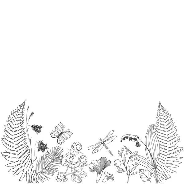 Bloemenrand met wilde bloemen, bosplanten en tekstruimte. Vector illustratie op wit. Uitnodiging, wenskaart of een element voor uw ontwerp. — Stockvector