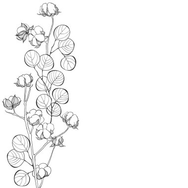 Beyaz üzerinde Noel buketi olan tebrik kartı. Vektör illüstrasyonu.