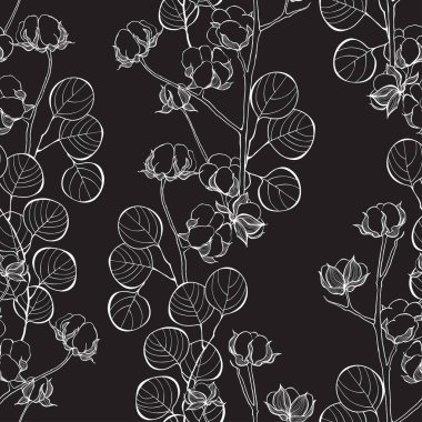 Çiçek arkaplan. Pamuk ve okaliptüs dalları. Doğa kusursuz desen. Vektör.