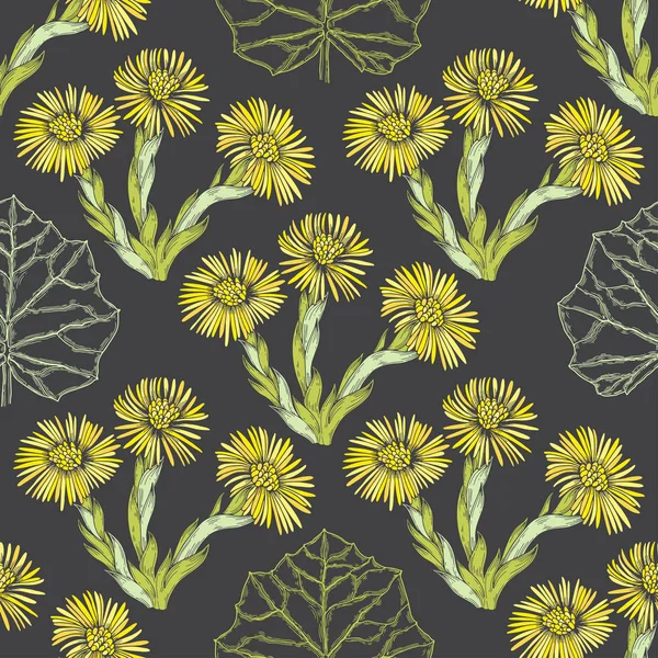 Fond Floral Avec Des Fleurs Coltsfoot Illustration Vectorielle — Image vectorielle