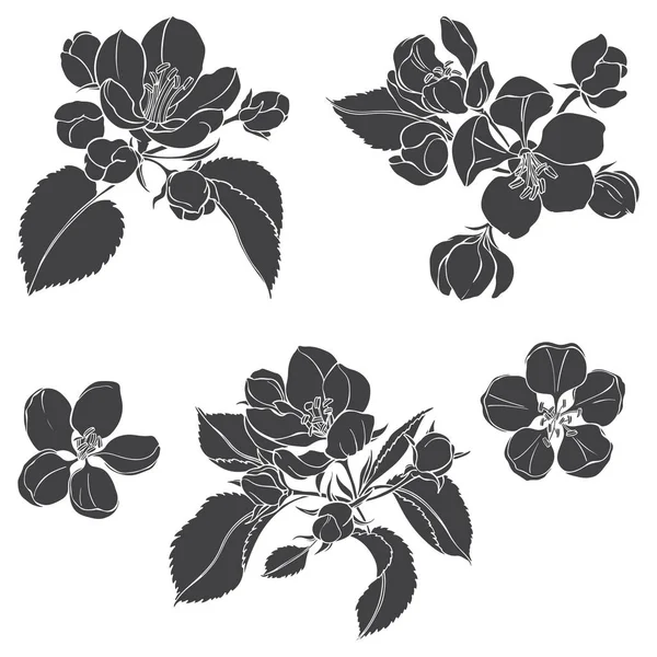 Appelboomtakken. Handgetekende vectorillustratie, geïsoleerde bloemenelementen voor ontwerp op witte achtergrond. Silhouetten. — Stockvector