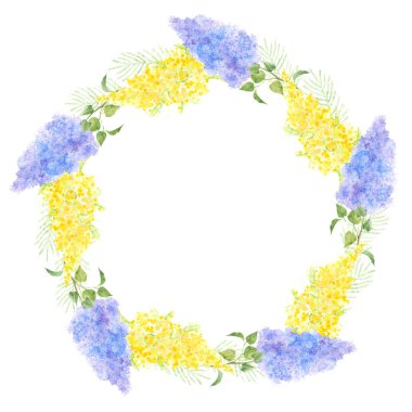 Leylak ve mimoza dalları, beyaz arka planda yuvarlak çelenk. Suluboya çizimi . 