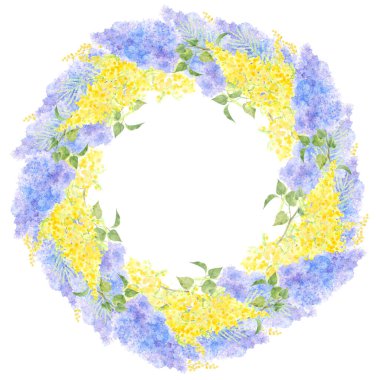 Leylak ve mimoza dalları, beyaz arka planda yuvarlak çelenk. Suluboya çizimi . 