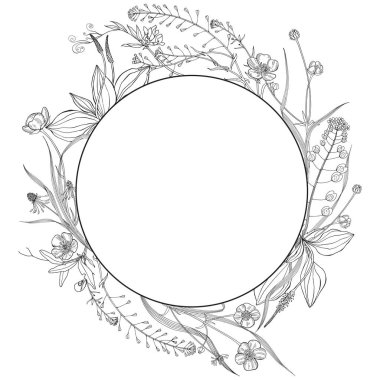 Kır çiçekleri ve otlar ile Vektör illüstrasyon, beyaz tasarım elemanı. Davetiye, tebrik kartı. 