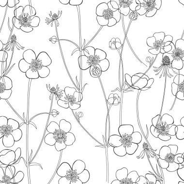 Düğünçiçeği. Çiçek açan kır çiçekleri. Vektör. Siyah beyaz çizim. Doğa arkaplanı.