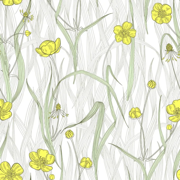 バターカップと草の刃 野花を咲かせます ベクトルイラスト 自然背景 — ストックベクタ