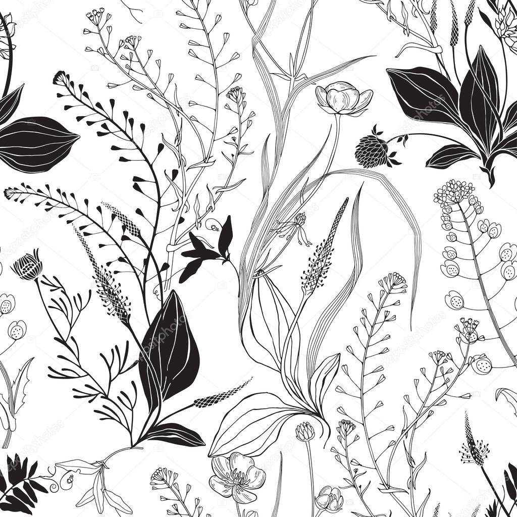 Wildherbs and wildflowers. Nature background.Black and white. Outline and silhouette drawing on a white background.