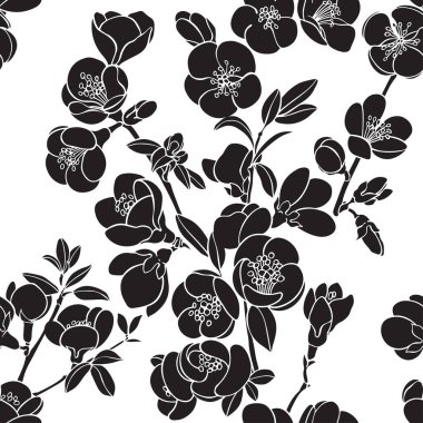 Çiçekli ayva dalları. Vektör. Doğa geçmişi. Siyah ve beyaz.