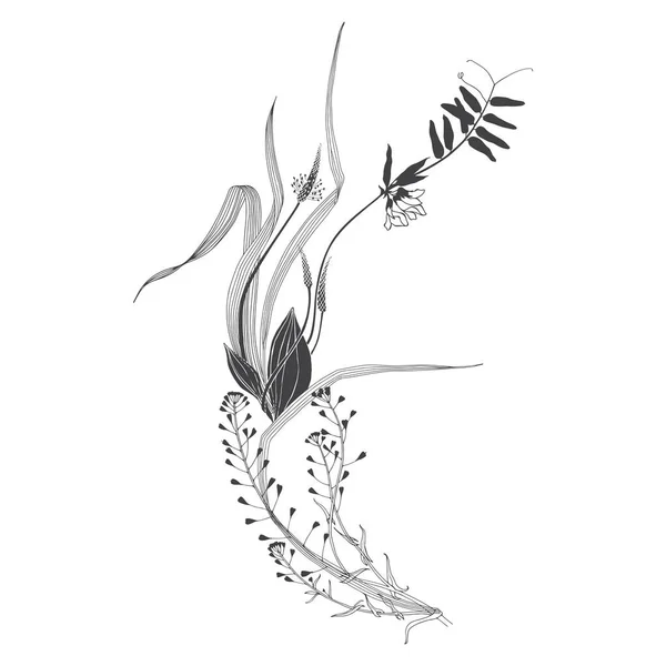 Illustration Vectorielle Avec Fleurs Sauvages Herbes Sur Blanc Invitation Carte — Image vectorielle