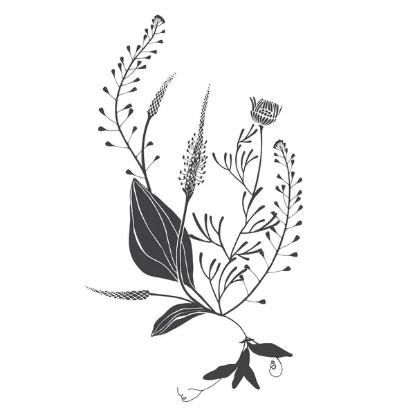 Vektorová Ilustrace Květinami Bylinkami Bílém Pozvánka Blahopřání — Stockový vektor
