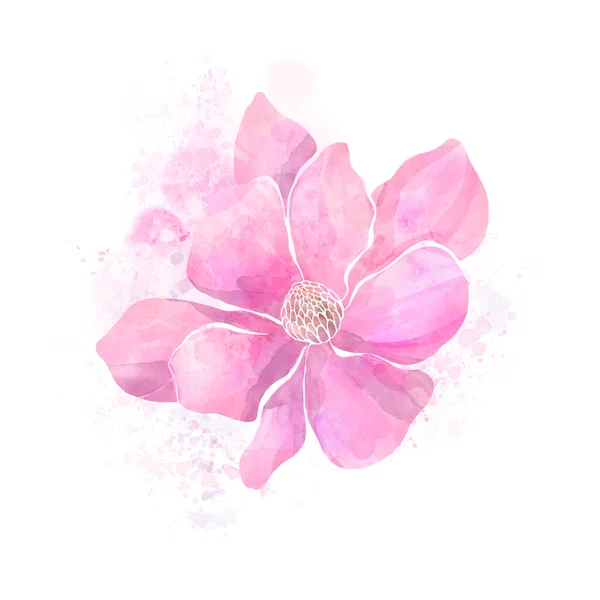 Magnolia Flower Isolated White Background Watercolor Illustration — Stock Photo, Image