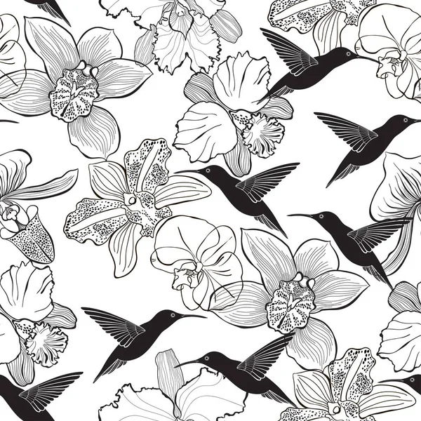 Sfondo Monocromatico Infinito Con Orchidee Sagome Colibrì Vettore Illustrazione Tropicale — Vettoriale Stock