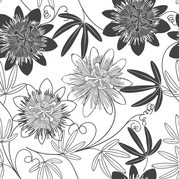 Страстный Цветок Цветочный Фон Векторная Иллюстрация Черное Белое — стоковый вектор