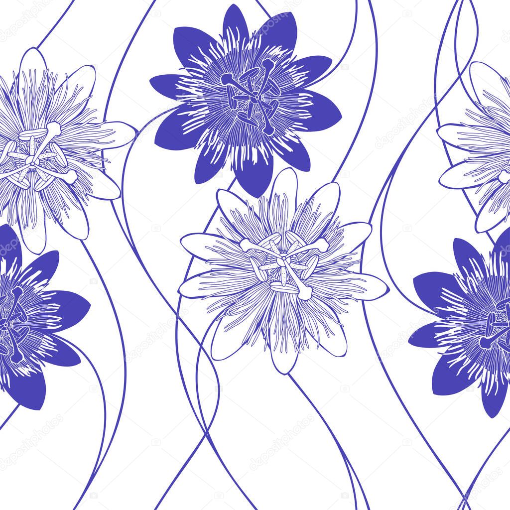 Passionflower. Floral background. Vector illustration.  Monochrome.