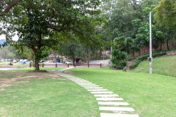 Pasarela Baldosas Hormigón Césped Jardín Del Parque Ciudad Carretera Ladrillo — Foto de Stock