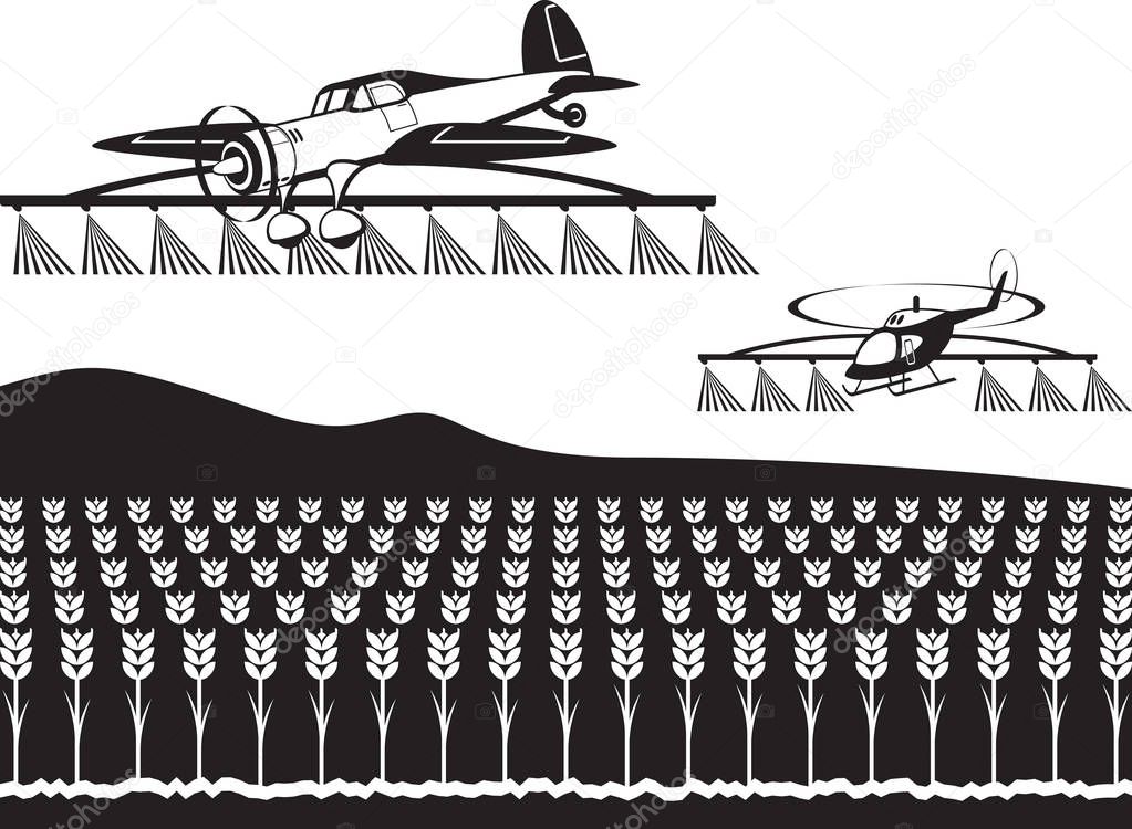 Agricultural aircraft and helicopter spray crops with fertilizers