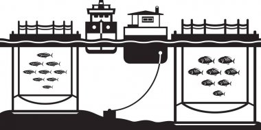 Deniz kafes balık yetiştiriciliği