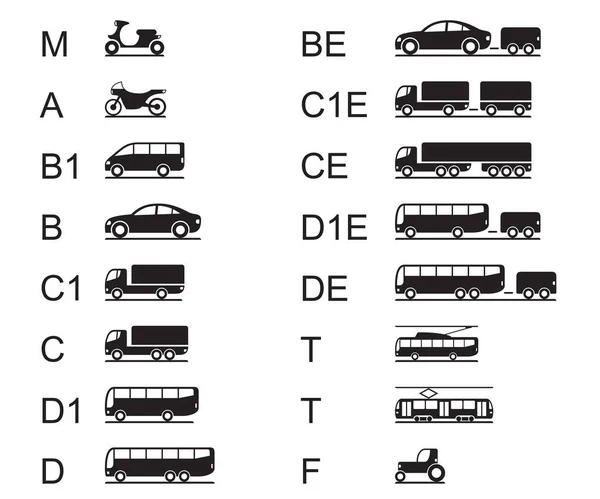 Permisos Conducción Para Diferentes Vehículos Carretera Ilustración Vectorial — Vector de stock