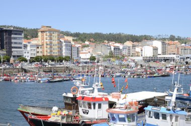 Ribeira bağlantı noktası