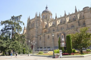 Yeni bir katedral 