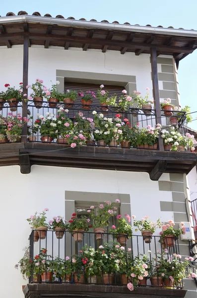 Blumen Pflanzen auf Balkonen — Stockfoto