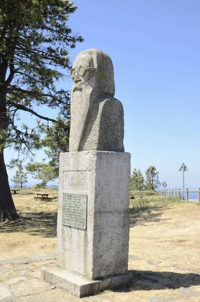 Şair Valle Inclan bakış