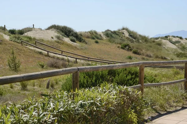 Dunes ที่ชายหาดมาเดลล่า — ภาพถ่ายสต็อก