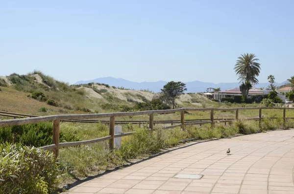 Weg tussen de duinen naar een strandrestaurant — Stockfoto