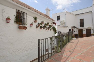 Duvar çiçek tencere